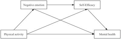 The relationship between physical activity and mental health of middle school students: the chain mediating role of negative emotions and self-efficacy